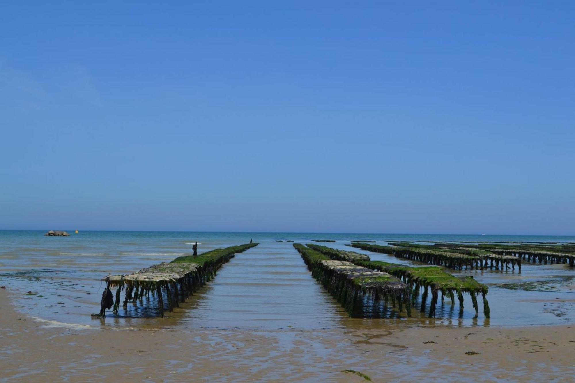 Maison entre Caen et Bayeux, proche plages du débarquement Loucelles Extérieur photo